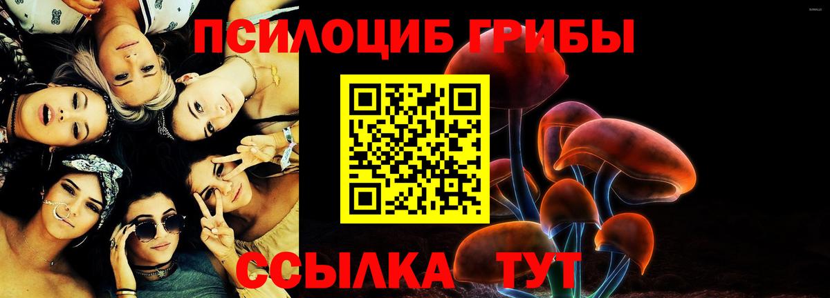 Апшеронск  Псилоцибиновые грибы мицелий  Вход с VPN  Галлюциногенные грибы GOLDEN TEACHER 